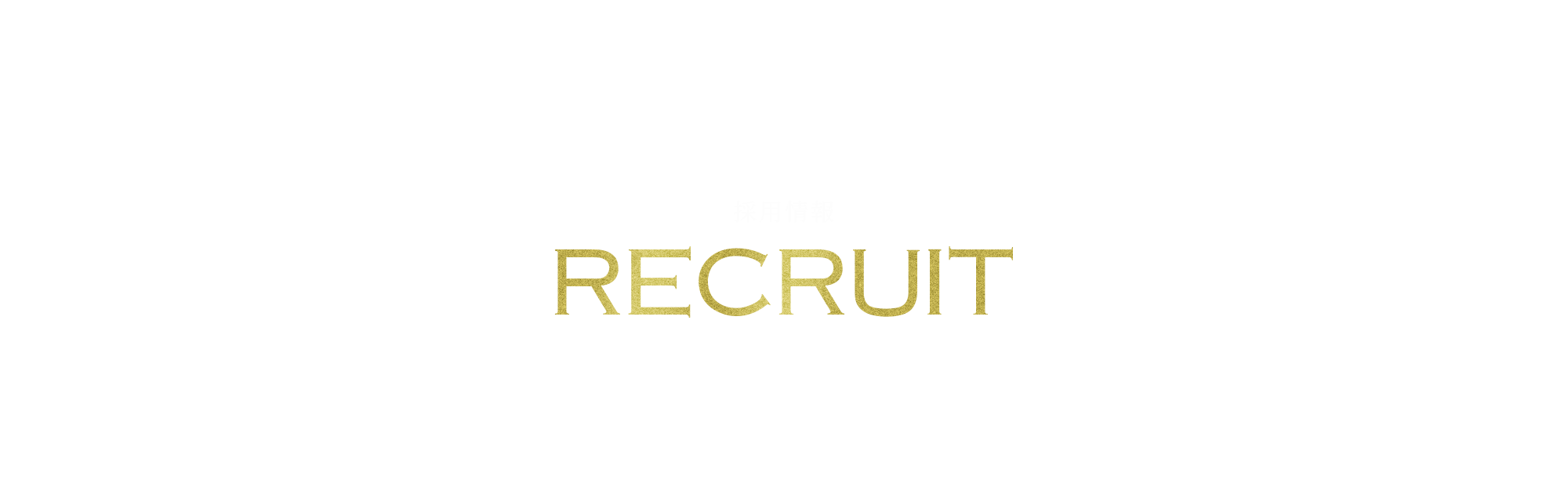 採用情報